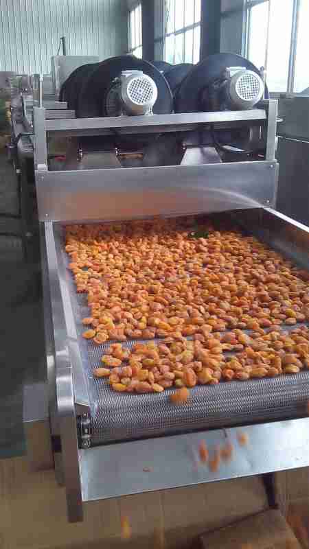 食品水分风干，选对设备关键吗？(2)